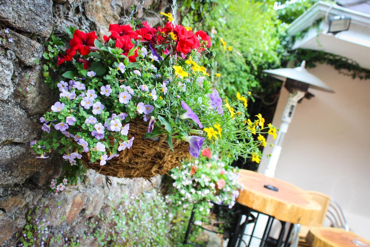 The Guest house
